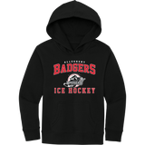 Allegheny Badgers Youth V.I.T. Fleece Hoodie