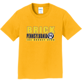 PA Brick Youth Fan Favorite Tee